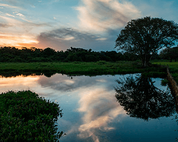 reserva natural caiman