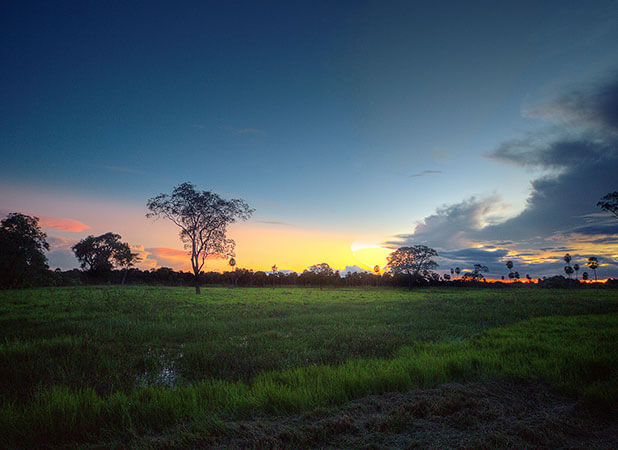 Paisagem verde