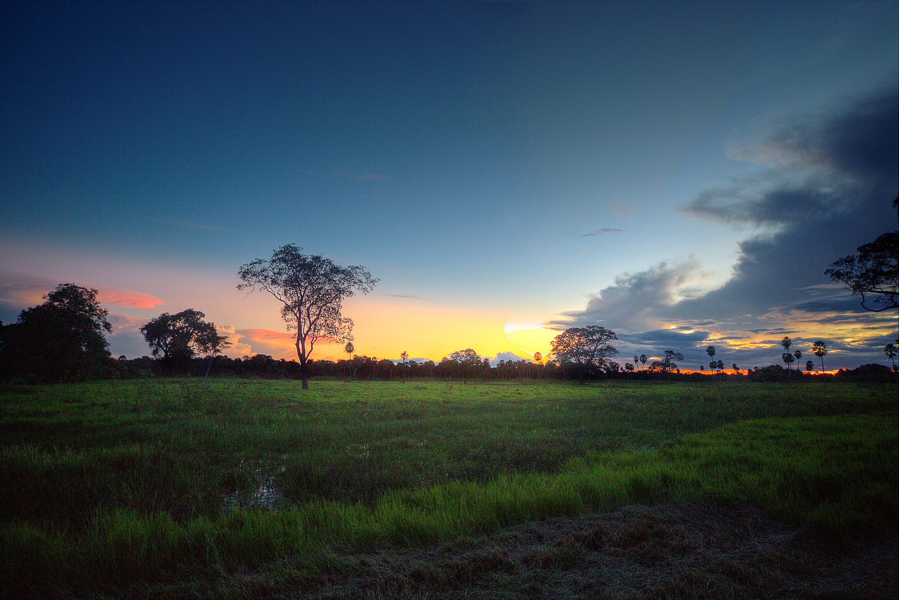 Green landscapes