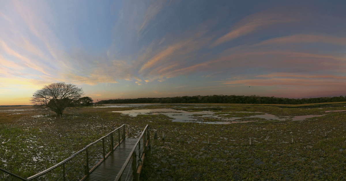 Casa Caiman property image